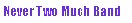 Text Box: Never Two Much Band